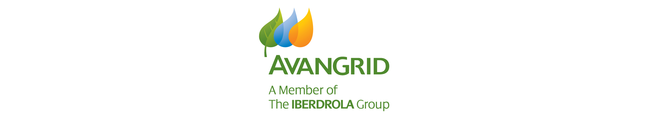 AvanGrid